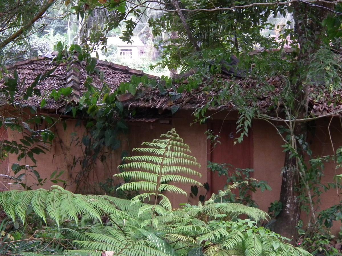 Deniyaya National Backpackers Hostel Екстериор снимка